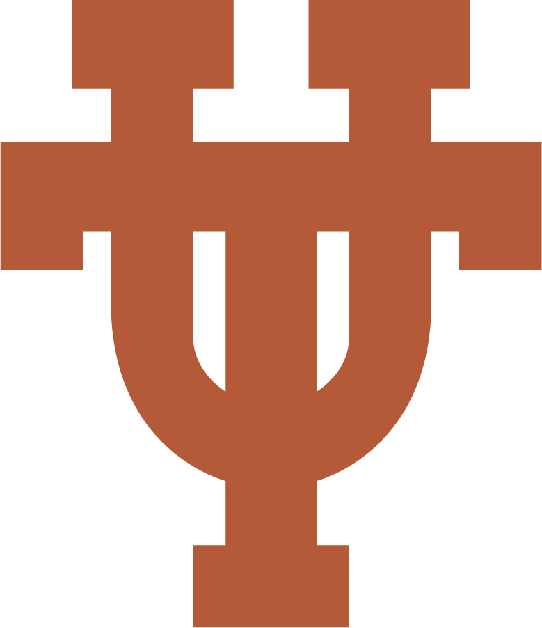 Texas Longhorns 2019-Pres Alternate Logo iron on transfers for clothing